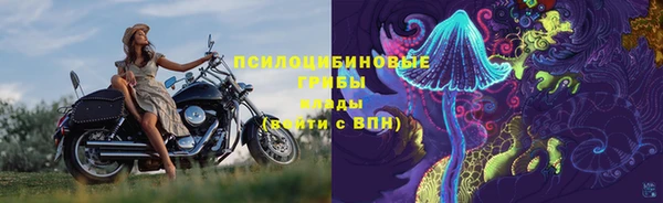 Альфа ПВП Рославль