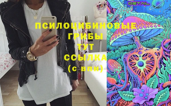 ГАЛЛЮЦИНОГЕННЫЕ ГРИБЫ Богданович