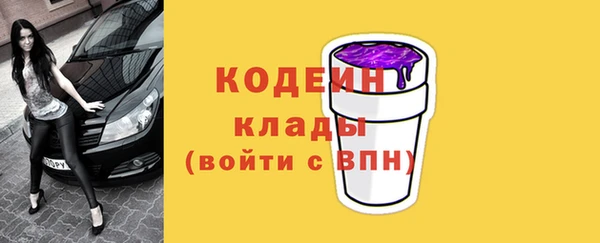 ГАЛЛЮЦИНОГЕННЫЕ ГРИБЫ Богданович