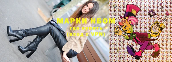 ГАЛЛЮЦИНОГЕННЫЕ ГРИБЫ Богданович