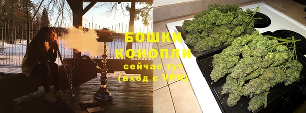 ГАЛЛЮЦИНОГЕННЫЕ ГРИБЫ Богданович