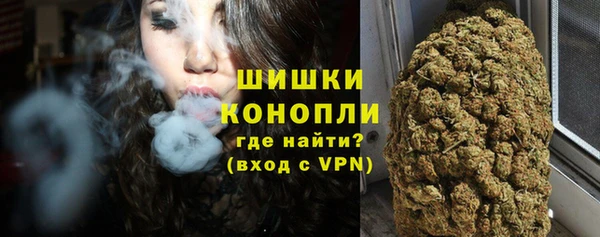 ГАЛЛЮЦИНОГЕННЫЕ ГРИБЫ Богданович