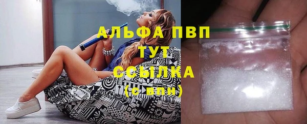 ГАЛЛЮЦИНОГЕННЫЕ ГРИБЫ Богданович