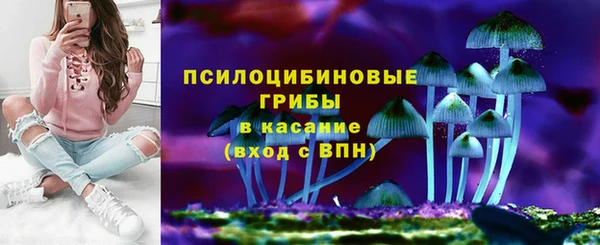 ГАЛЛЮЦИНОГЕННЫЕ ГРИБЫ Богданович