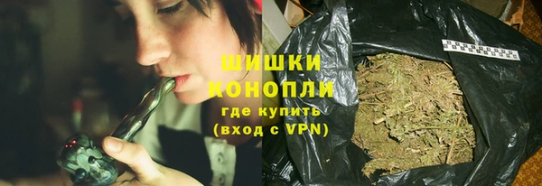 ГАЛЛЮЦИНОГЕННЫЕ ГРИБЫ Богданович