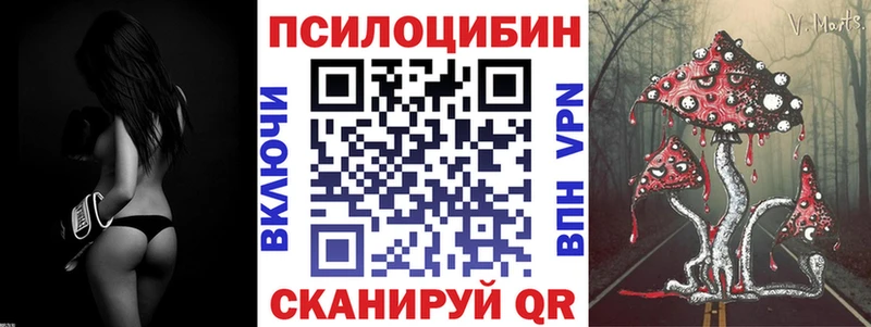 Псилоцибиновые грибы Psilocybine cubensis  Козьмодемьянск 