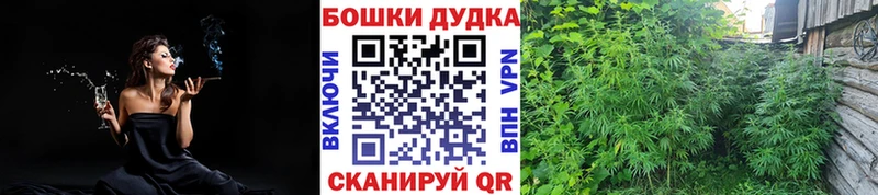 Марихуана план  где купить наркоту  Козьмодемьянск 